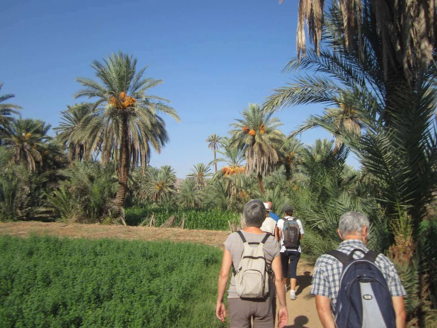 Taroudant y el oasis de Tiout desde Agadir
