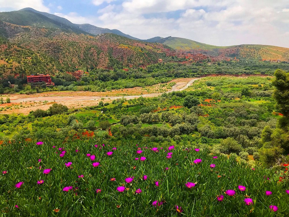 Paisaje del Valle de las Rosas en Marruecos