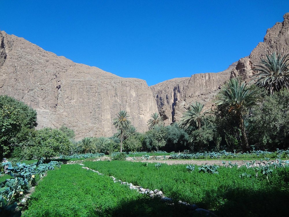 Gargantas del Todra en Marruecos